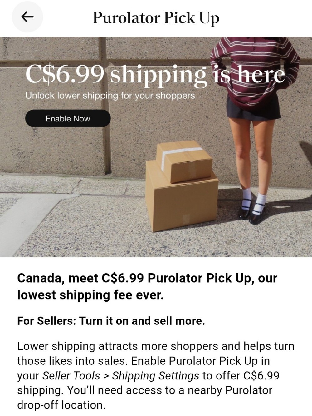 Purolator Pick Up $6.99 Shipping